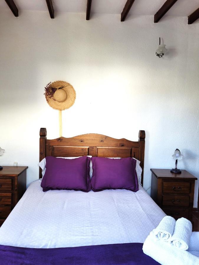 Finca El Poleo With Pool And Sea View Icod De Los Vinos Exterior foto